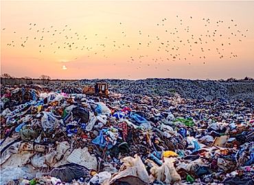 Entegre Atık Yönetimi